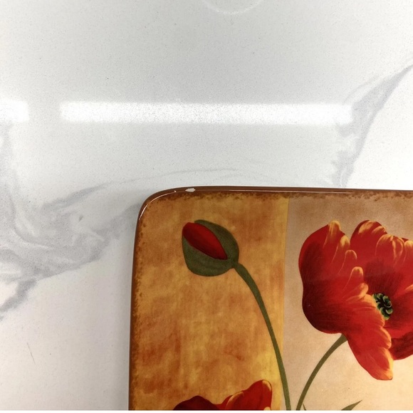 Pier 1 Imports Poppies Earthenware Square Dinner Plate 10.5" Two Plates - Picture 3 of 8
